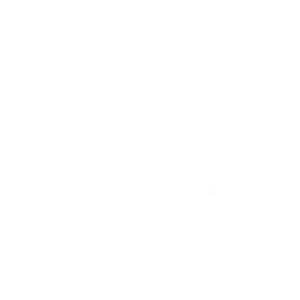 AGENDA GROUP LLC 